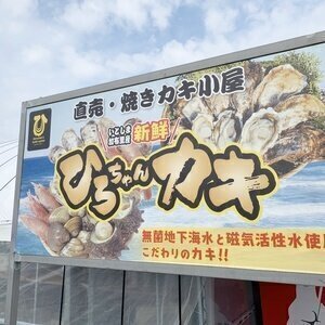 【糸島･加布里漁港の牡蠣小屋】ひろちゃんカキ 2023年秋期～貴重な国産の天然はまぐりを堪能する事ができます！
